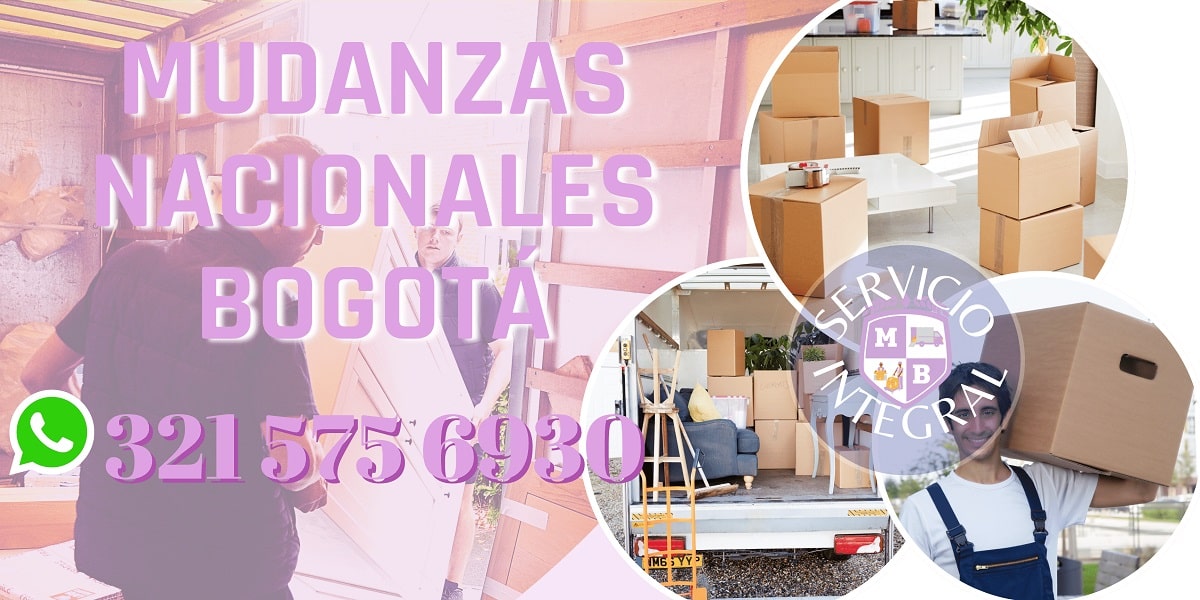 enviar mascota a otra ciudad